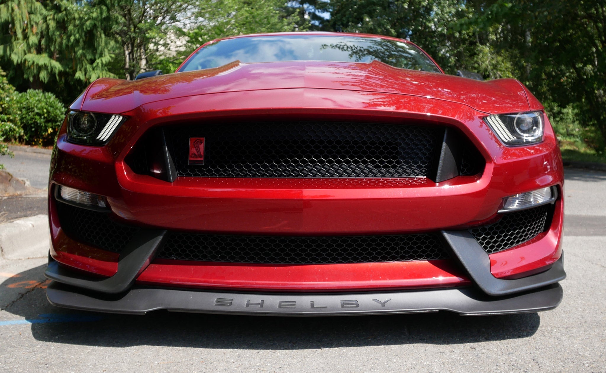 Ford Mustang Shelby GT350R Skid Plate Scrape Armor Bumper Protection